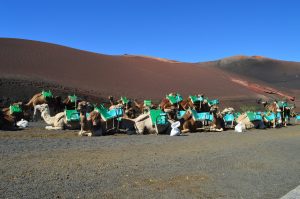 Lanzarote ist die nördlichste Insel der großen kanarischen Inseln.